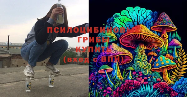 метадон Сафоново