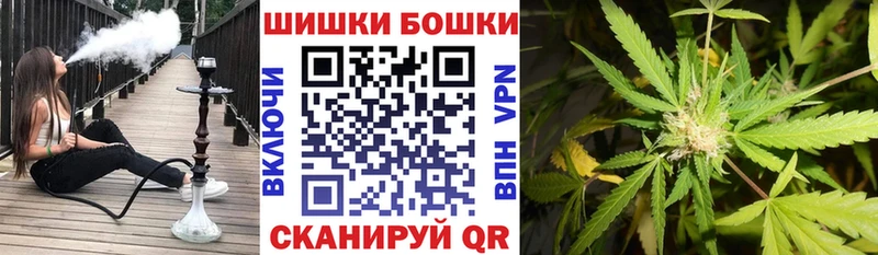 Бошки марихуана SATIVA & INDICA  MEGA tor  Белый  это наркотические препараты  наркота 
